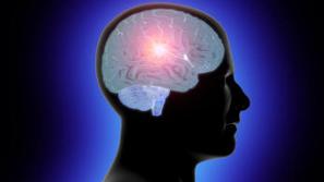 Vas zanima vaš inteligenčni količnik?