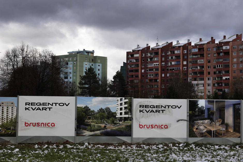 Regentov kvart brusnica | Avtor: Saša Despot