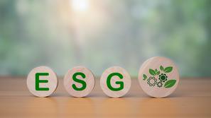 strategija ESG