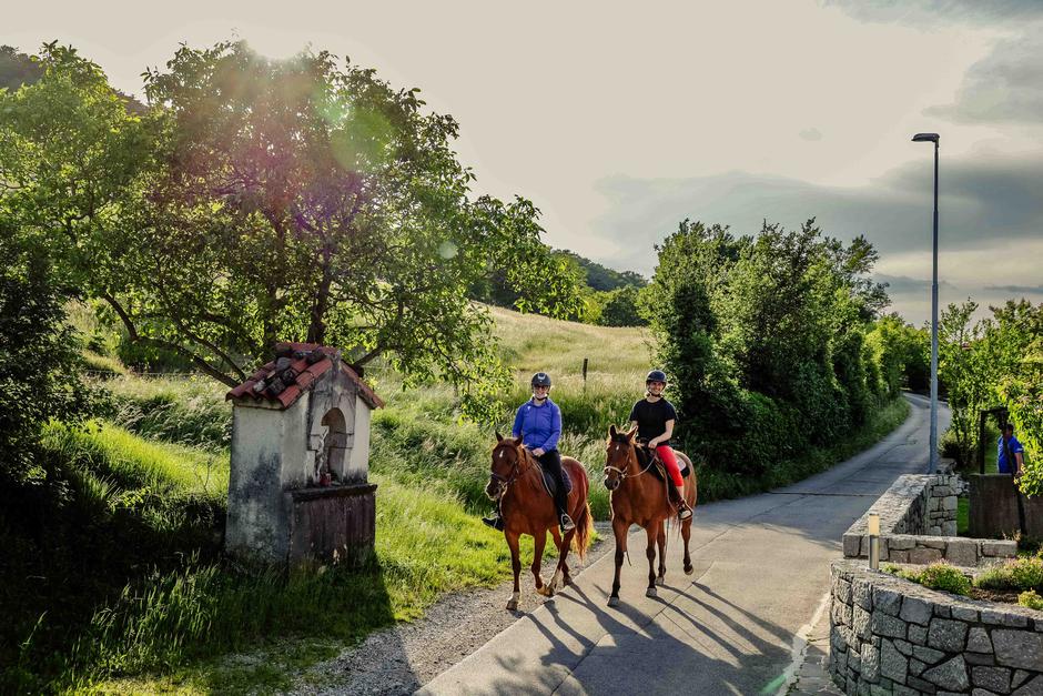 Ranč Tunink | Avtor: Saša Despot