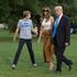 donald, melania, barron trump