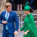 meghan markle, princ harry
