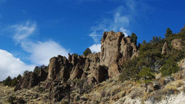 puščava Dixie National Forest