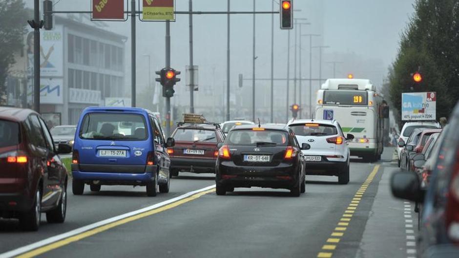 rumeni pas | Avtor: Anže Petkovšek