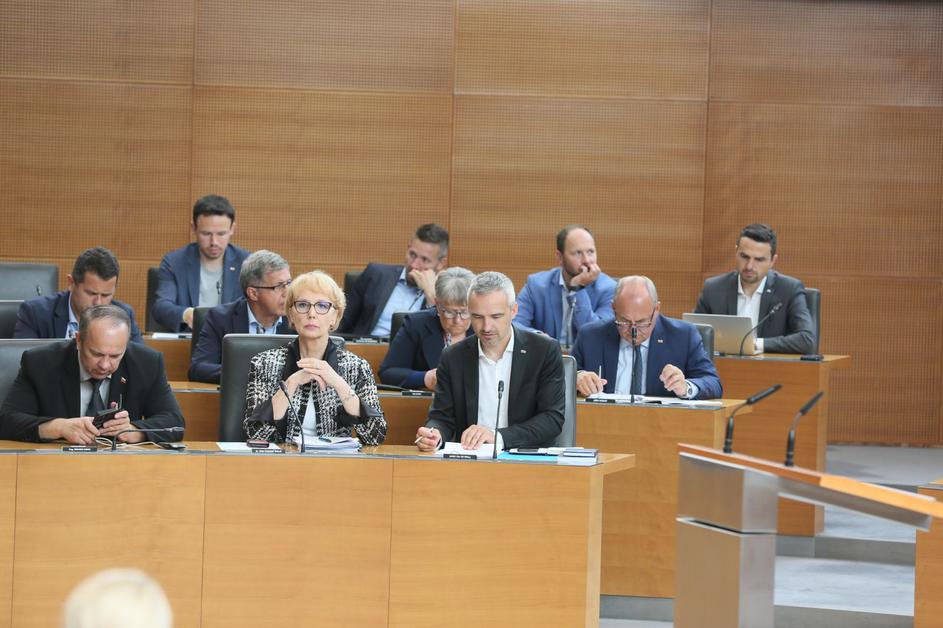 Poslanska skupina NSi