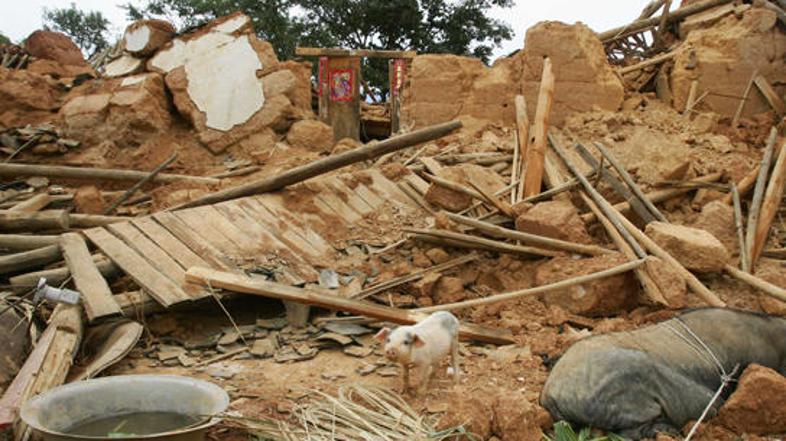 Silovit potres je terjal štiri človeška življenja, povzročil pa je tudi precejšn