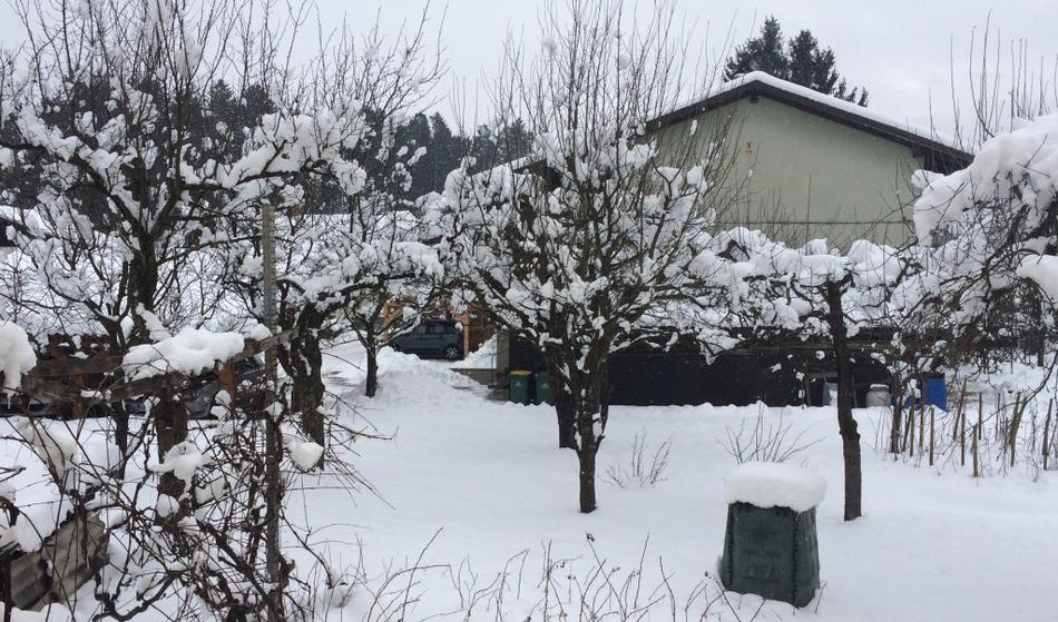 Zadnje informacije o stanju po državi: Veter in sneg, ponekod ga je preko 10 cm