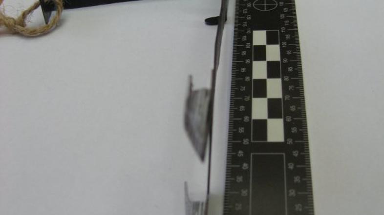 Vlamljanje v bankomate