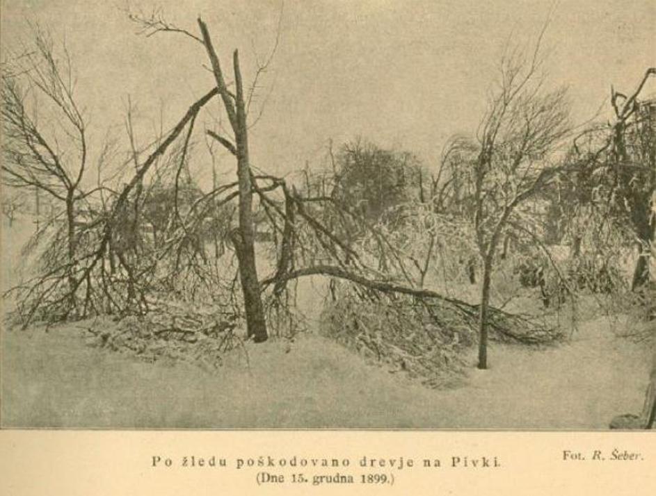 Pivka 1889