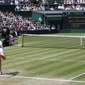 Jelena Dementjeva je klonila proti Venus Williams.