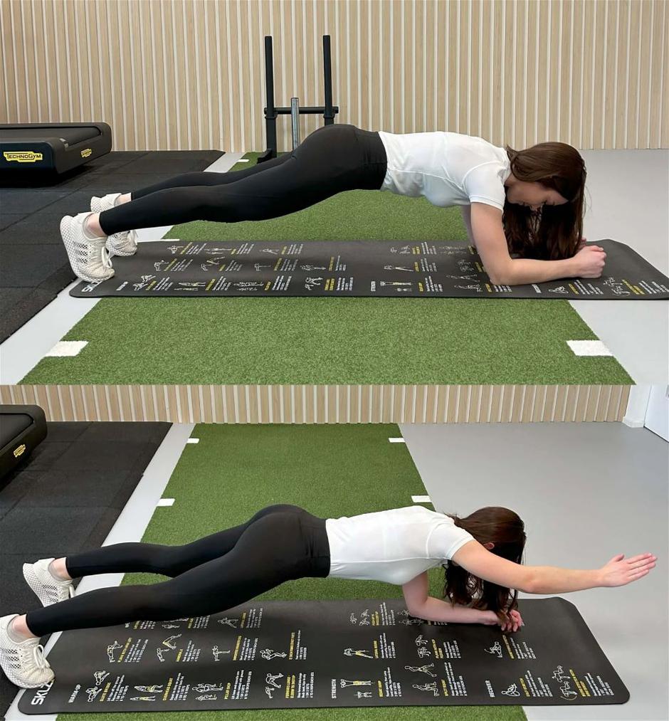 medicofit | Avtor: Medicofit