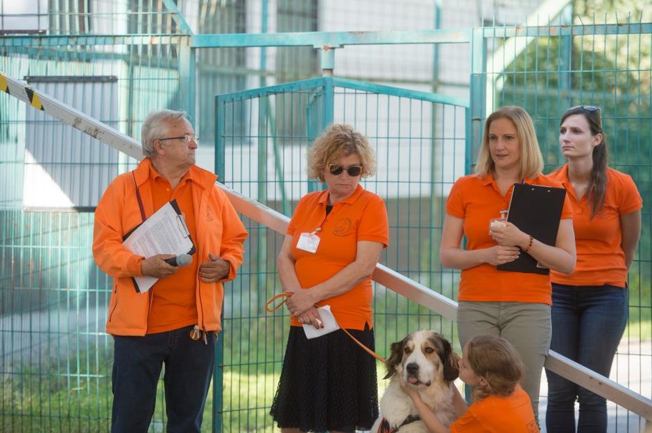 ambasadorji nasmeha | Avtor: Anže Petkovšek