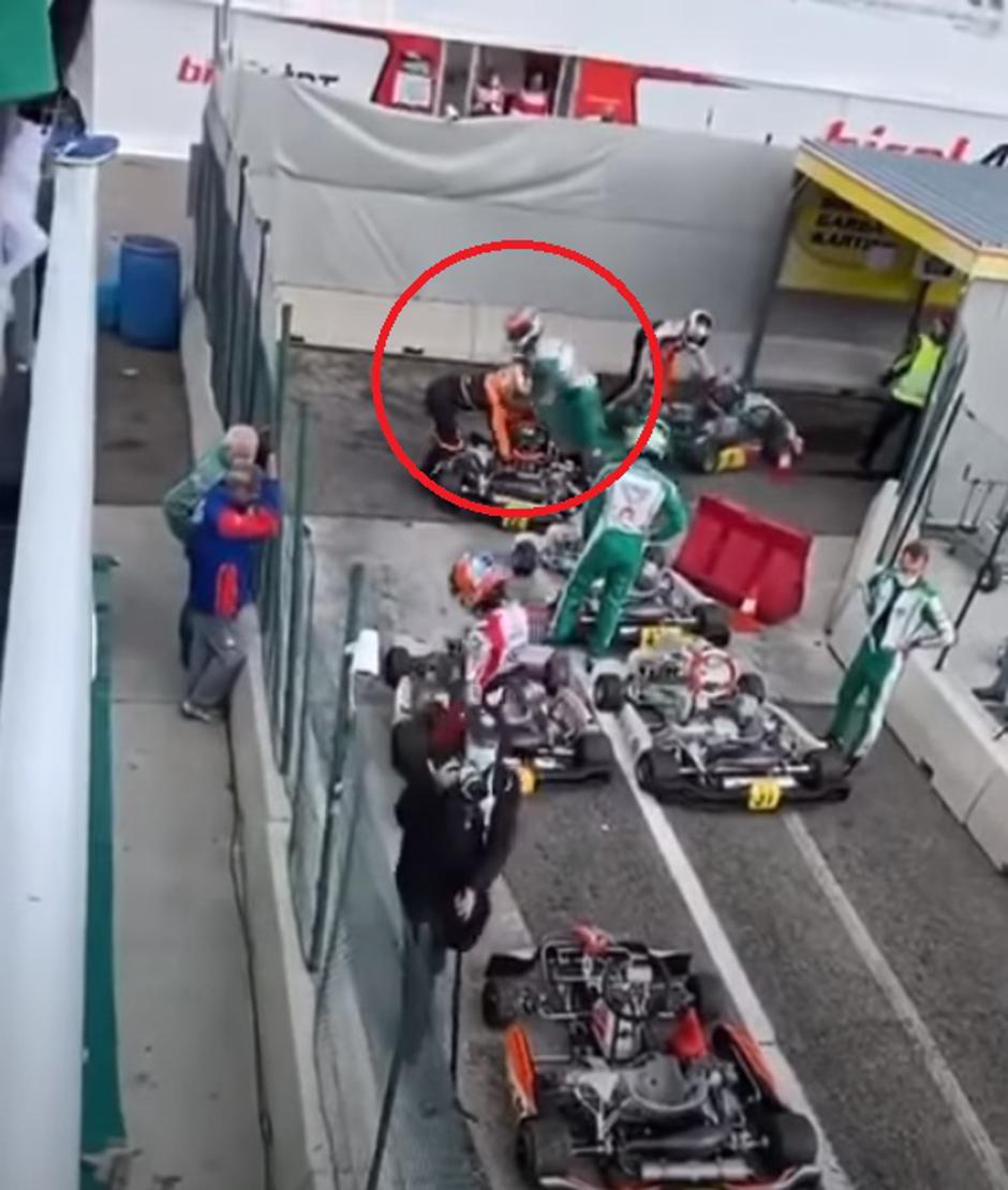 corberi | Avtor: Print Screen 