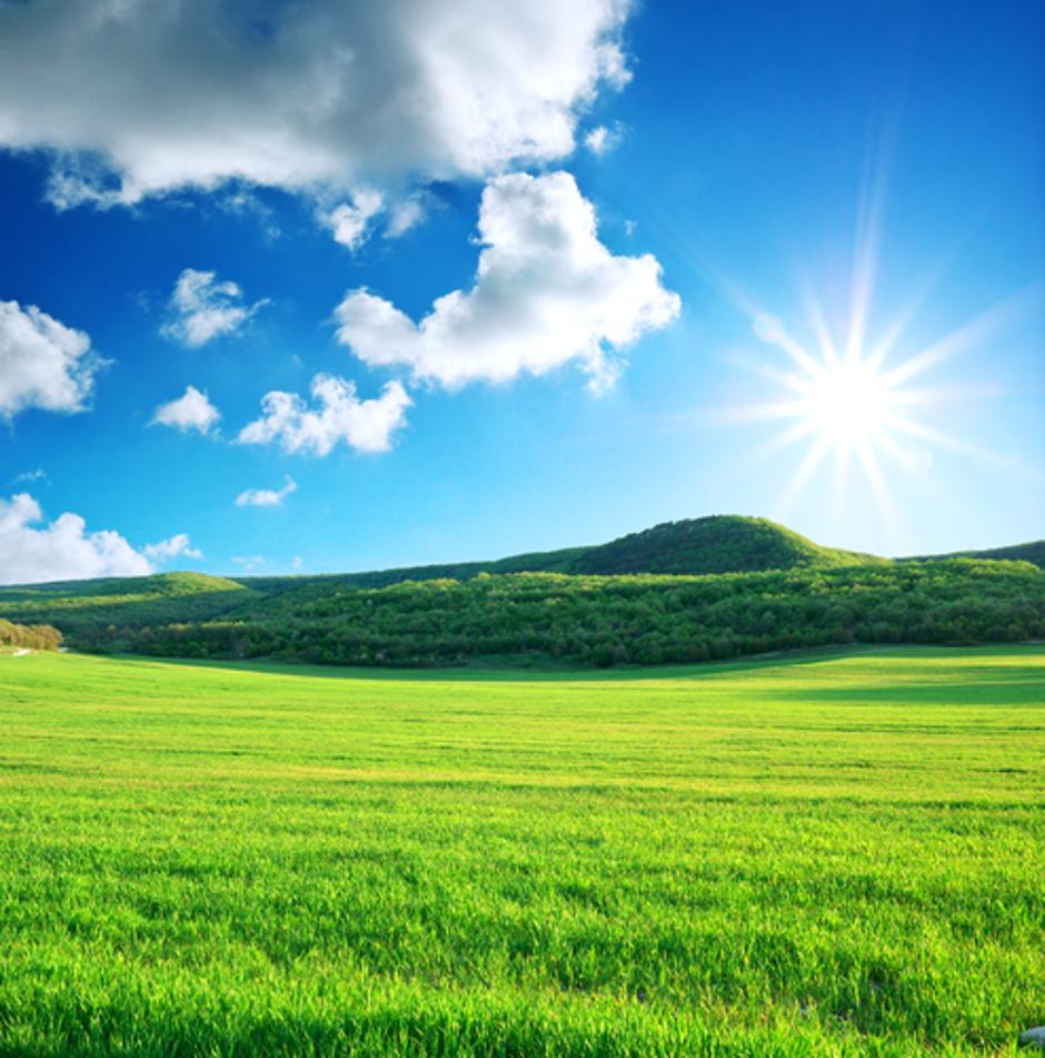 sonce, sončen dan, narava, polje, trava | Avtor: Shutterstock