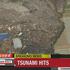 Potres in cunami na Japonskem