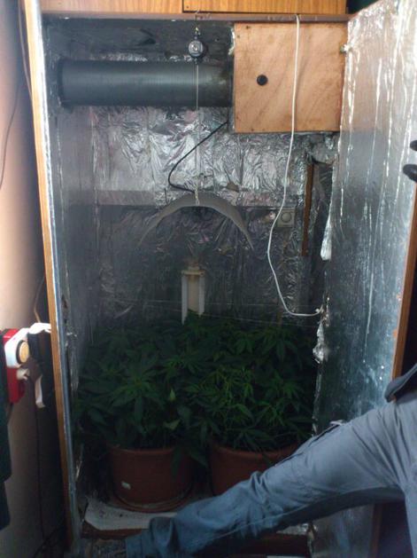 Laboratorij za gojenje konoplje