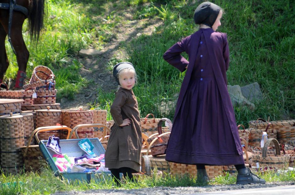 Amiši | Avtor: Profimedia