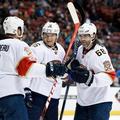 florida panthers