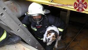 reševanje psa, gasilci