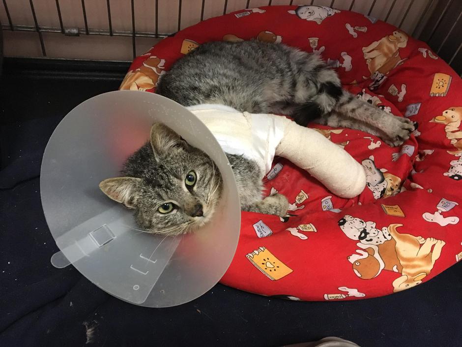 primož vrhovec | Avtor: Andreja Cilenšek