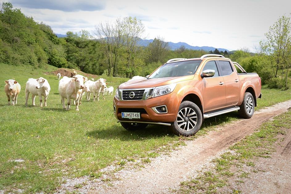 Nissan navara