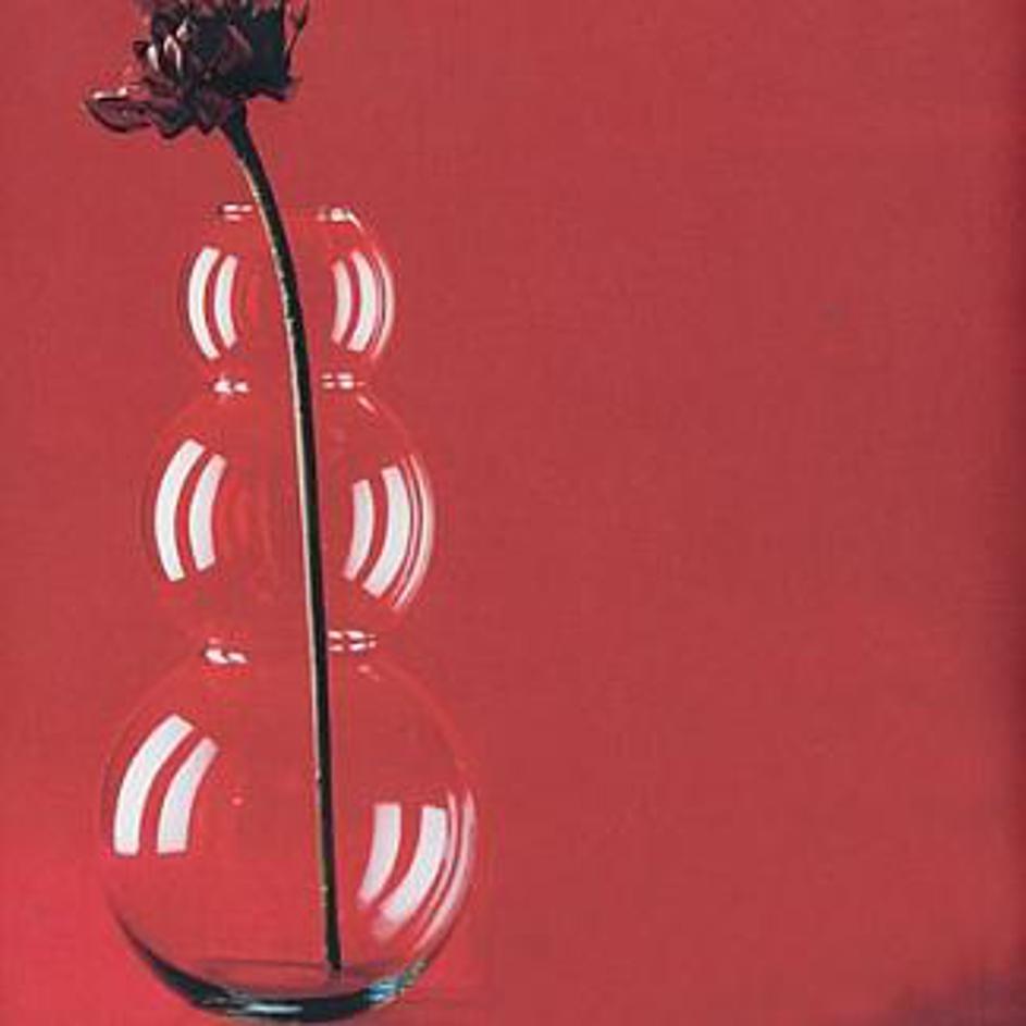 Bubble Vase osupne tudi brez cvetja.