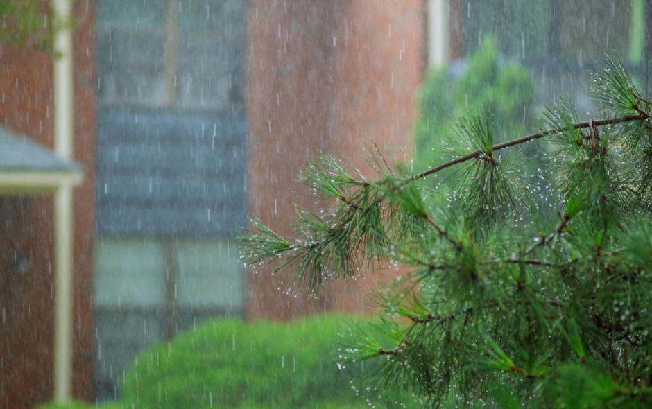 vreme dež ploha naliv | Avtor: Profimedia