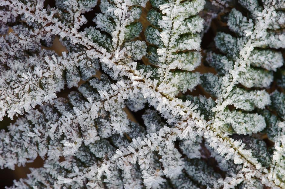 Slana | Avtor: Profimedia