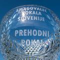 kristalni pokal Pokal Slovenije NZS