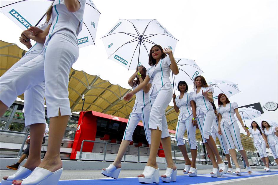 paddock girls grid girls
