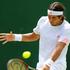 Verdasco Žemlja Wimbledon OP Velike Britanije tenis drugi krog