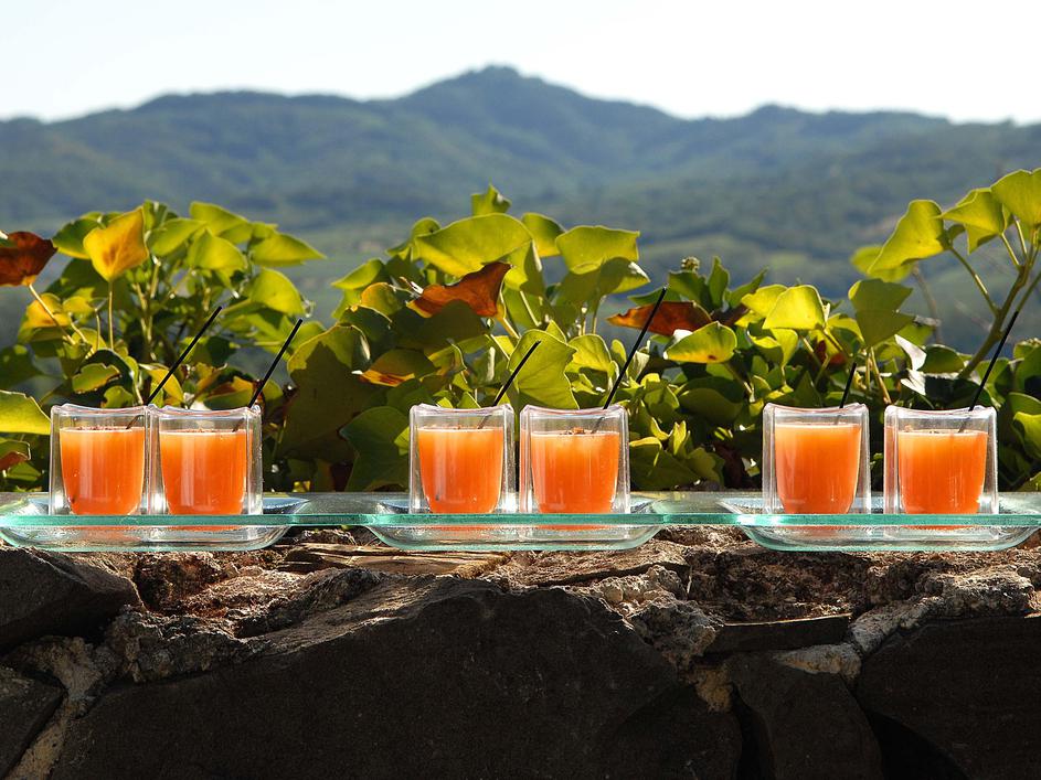 Zemono ni za vsak dan, je za tiste trenutke, ko si človek zaželi biti eno s tren