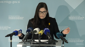 ugotovitve inšpekcijskega nadzora, salmoneloza