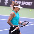 Polona Hercog