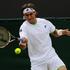 Ferrer Wimbledon tenis OP Anglije grand slam