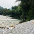 Reka Idrijca