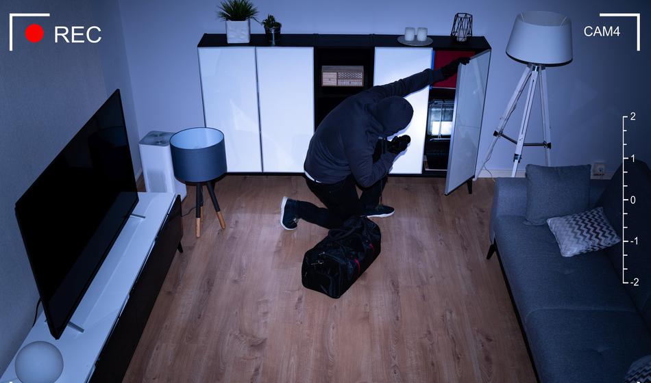 To je za sabo pustil vlomilec, ki je tik pred silvestrovim vdrl k znanemu Slovencu