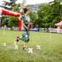 Festival za ljubitelje živali 2026