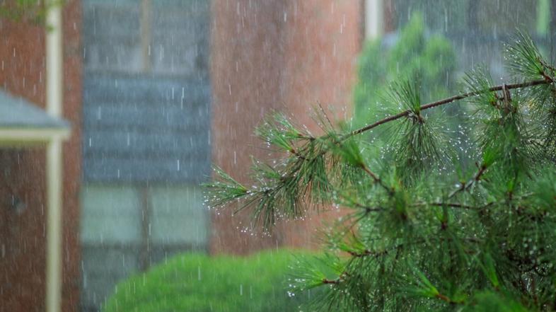 vreme dež ploha naliv