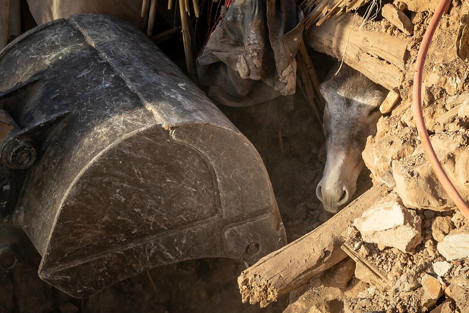 Potres v Maroku | Avtor: Profimedia