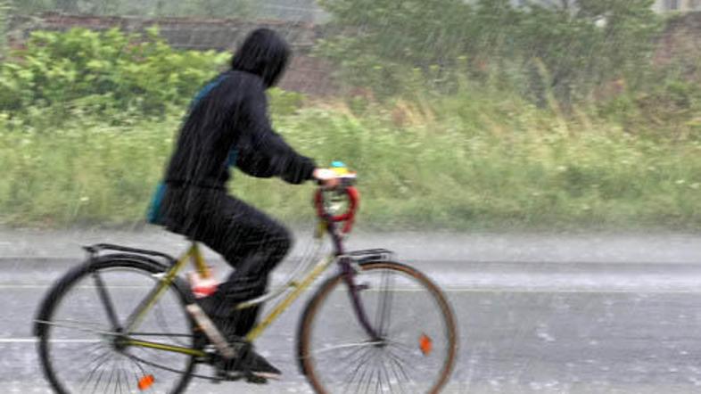 (Foto: Saša Despot)