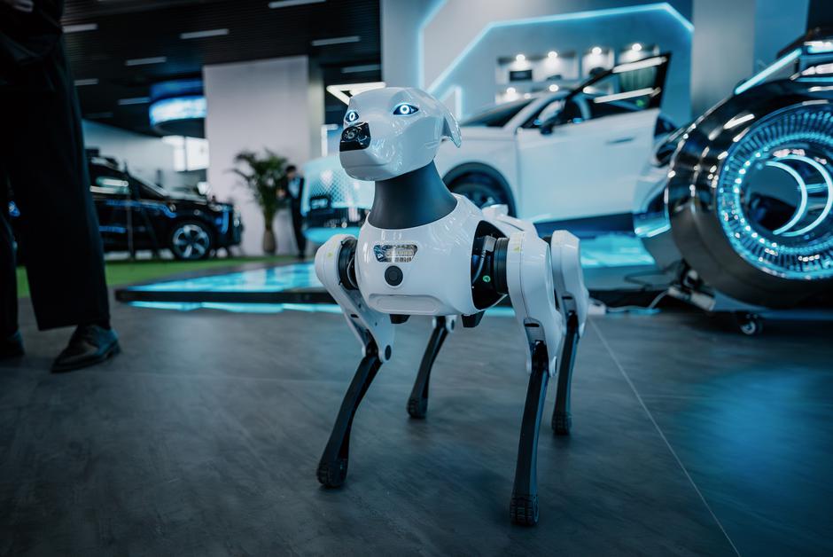 Chery globalni dan | Avtor: Angelo Virag