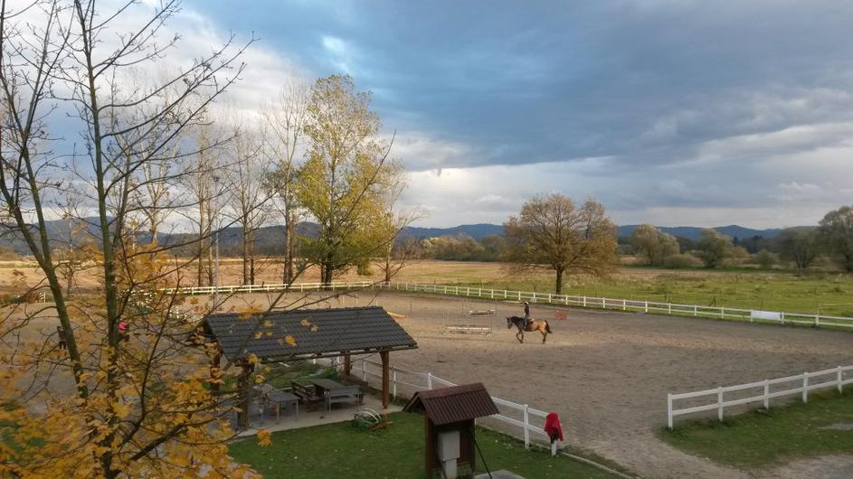 Konjeniški klub gibanje