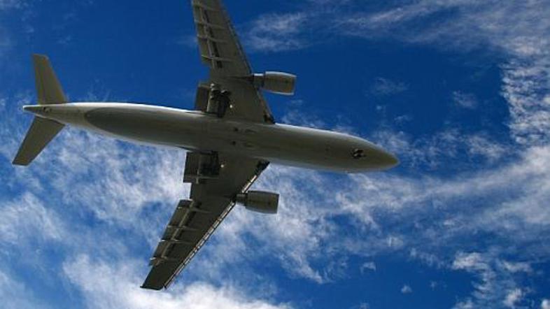 Iščejo stevardese, nimajo pa letal in operativne licence.