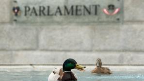 Račke pred avstrijskim parlamentom