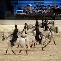 Petkov spektakel v Stožicah je zasenčila vest o poginu štirih živali, tudi konja