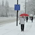 slovenija 06.02.13, sneg, snezenje, padavine, vreme, promet, foto: Anze Petkovse