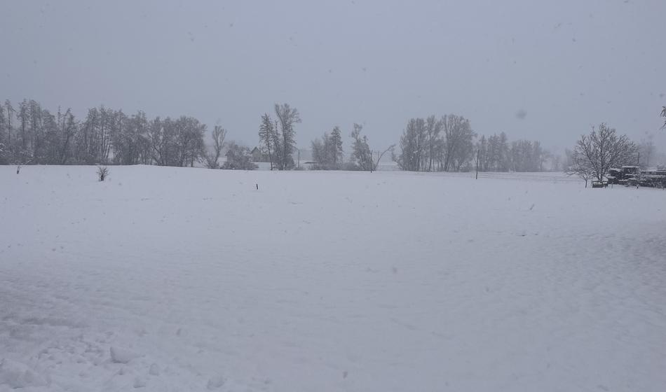 Slaba novica za odjemalce Elektra Maribor