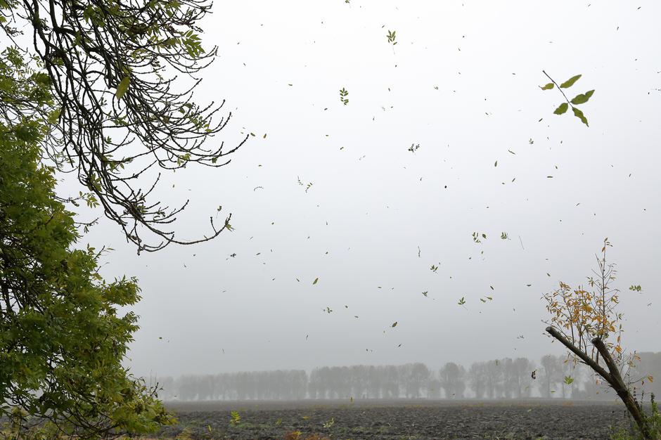 Dež in veter | Avtor: Profimedia