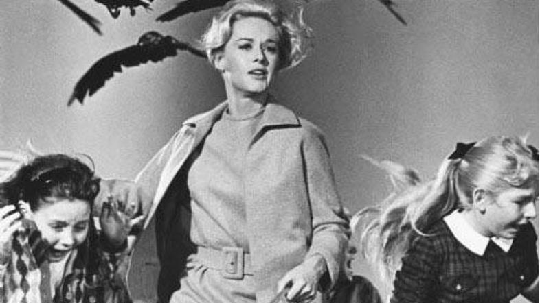 Tako so morali v Hitchcockovi klasiki ljudje bežati pred pobesnelimi ptiči.